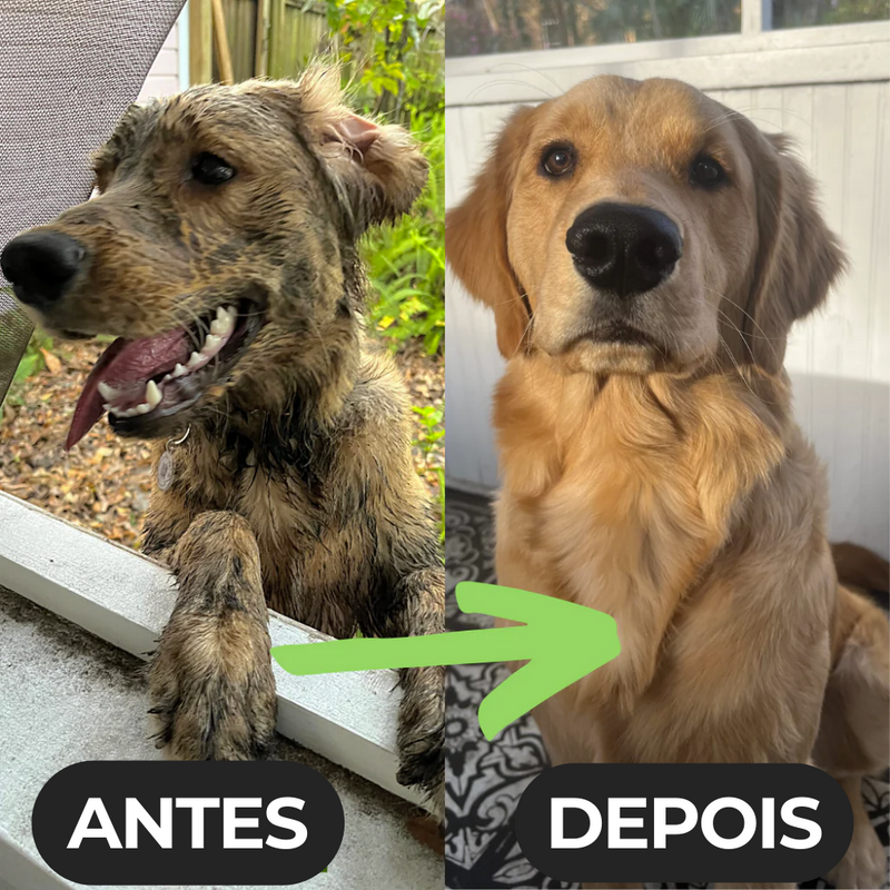 Jato de Pressão Gentil - DogCleaner