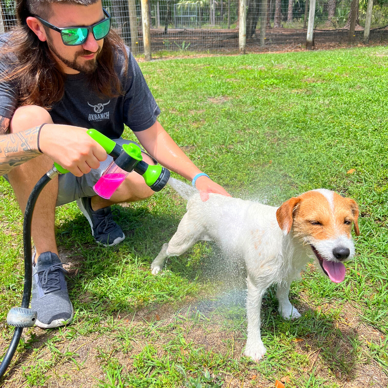 Jato de Pressão Gentil - DogCleaner