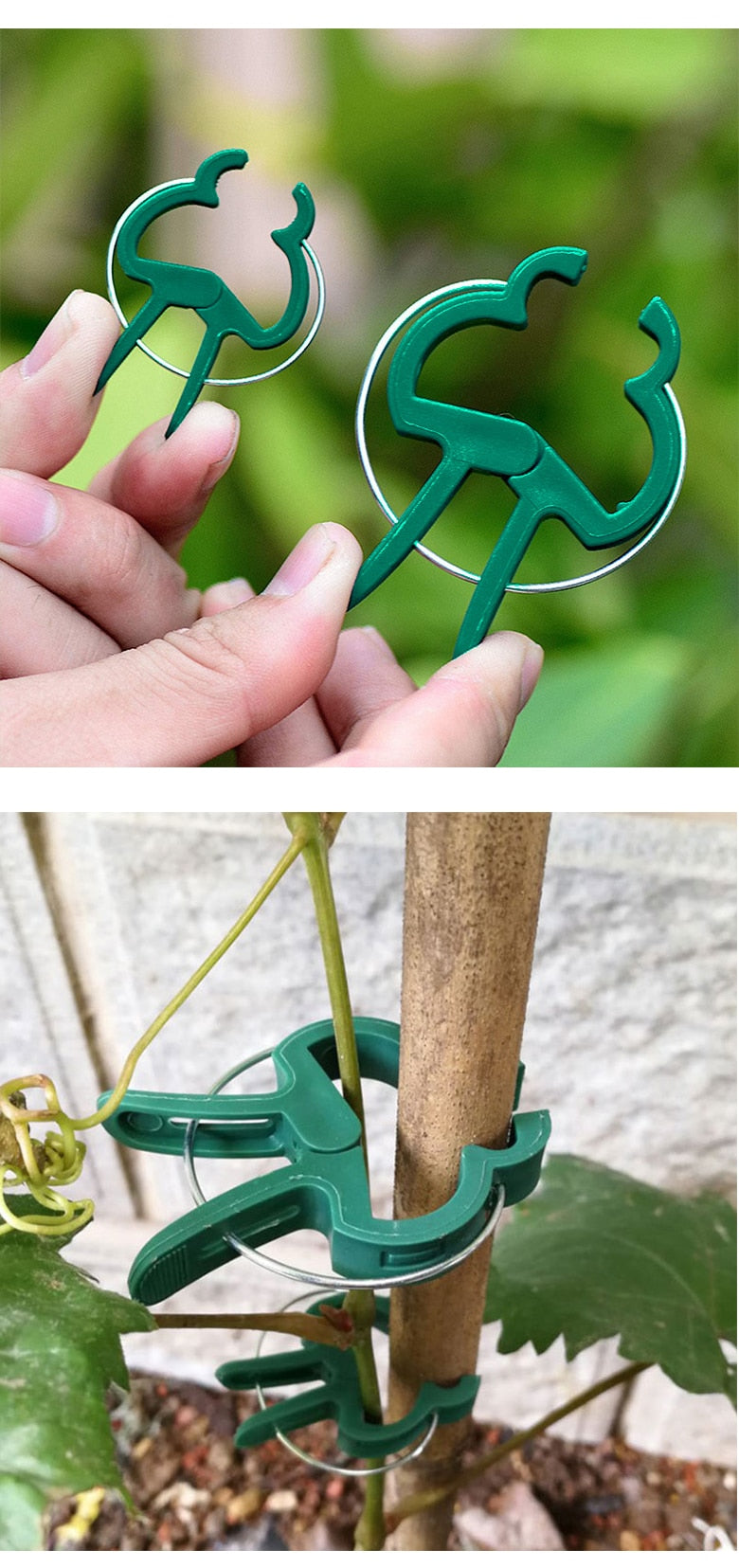 Grampo para fixar plantas