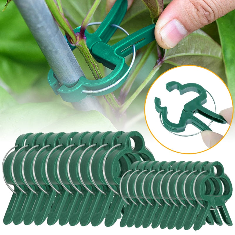 Grampo para fixar plantas